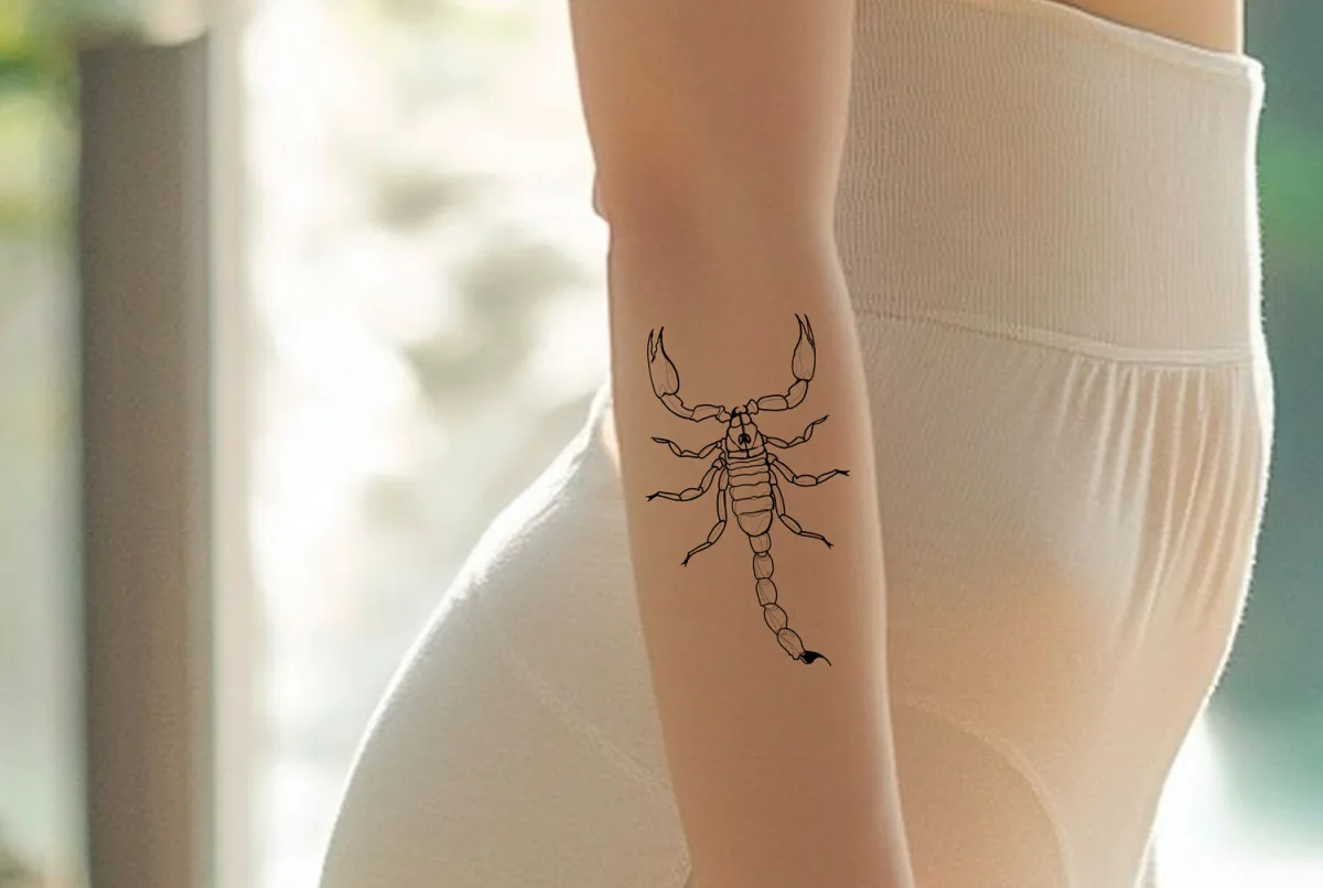 Scorpion — simulation sur peau