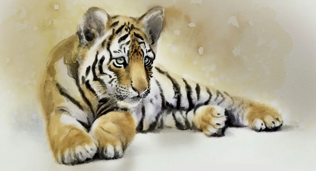 Tigre