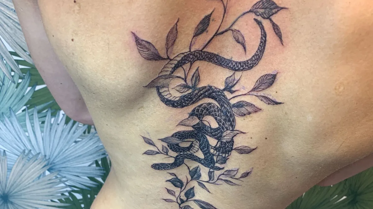 Cover dos par un serpent : recouvrement sur mesure dans le Var