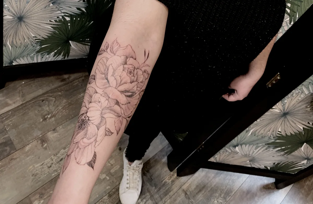 Pivoines Fineline : la délicatesse du trait au service du végétal