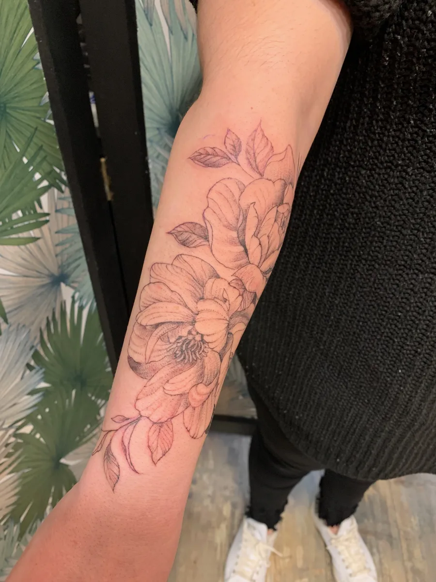 Pivoines Fineline : la délicatesse du trait au service du végétal - photo