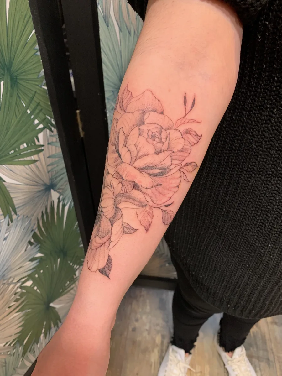 Pivoines Fineline : la délicatesse du trait au service du végétal - photo 2