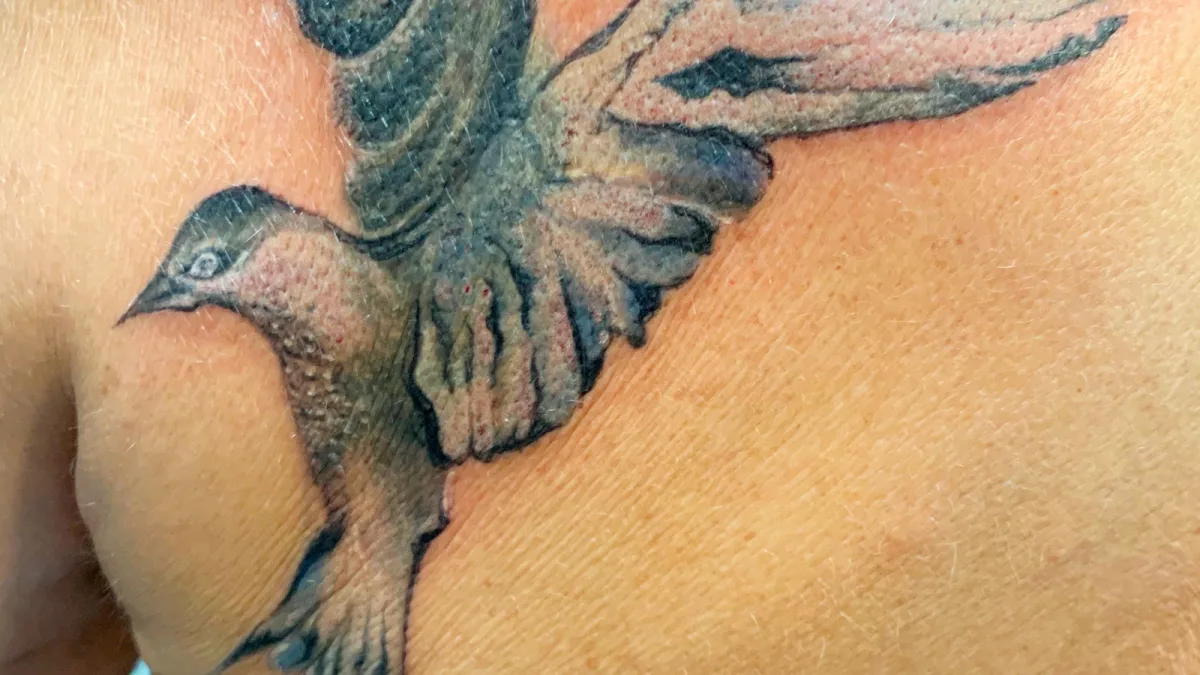 Recouvrement tatouage d'une plume par un oiseau : une nouvelle vie pour votre peau