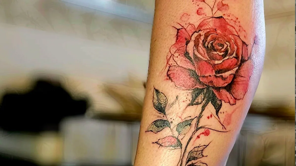 Rose esquisse couleur : un tatouage délicat signé Jull's