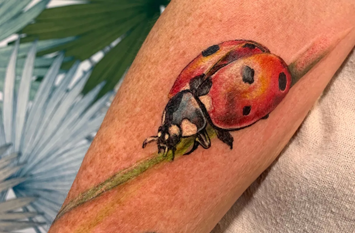 Tatouage coccinelle réaliste