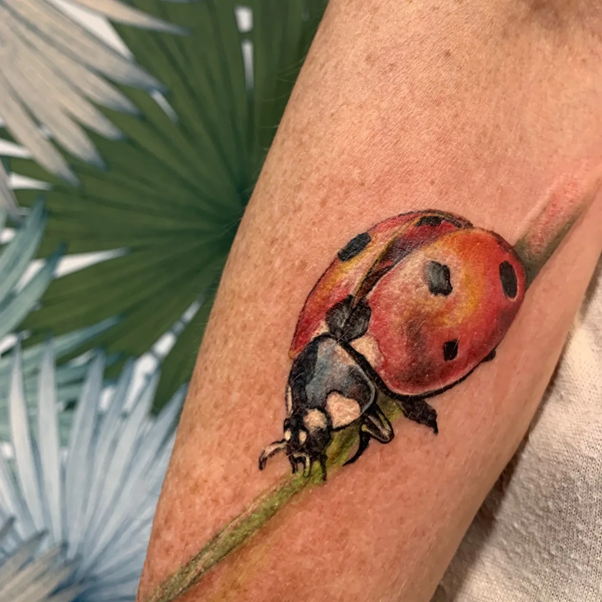 Tatouage coccinelle réaliste - photo