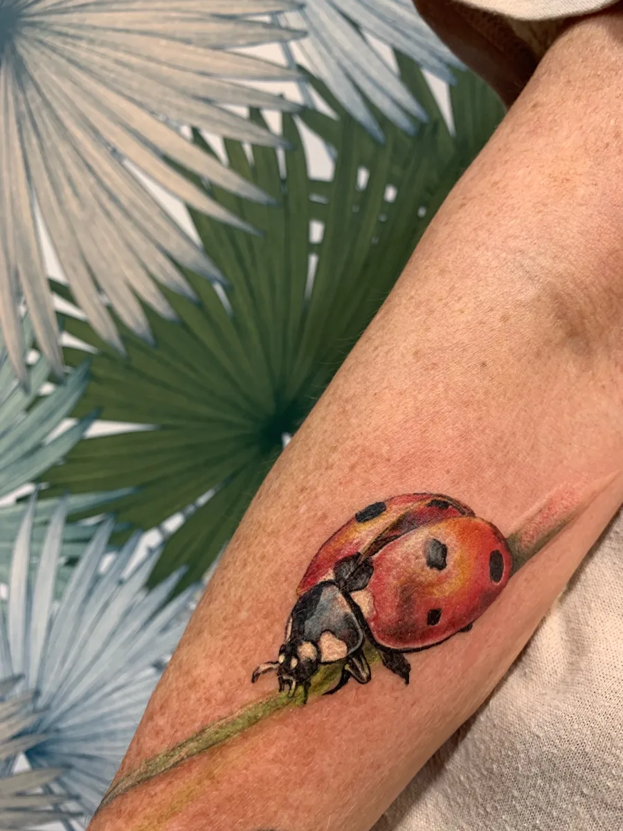 Tatouage coccinelle réaliste - photo 2