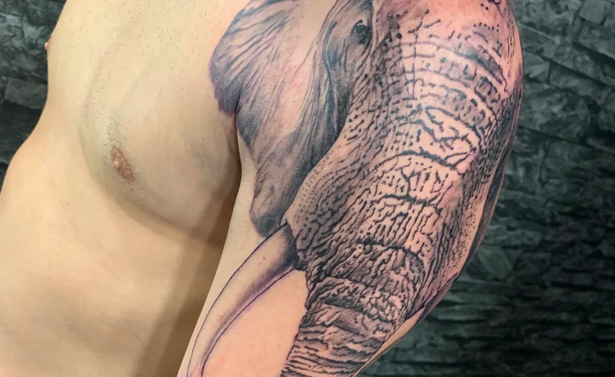 Tatouage éléphant réaliste dans le Var