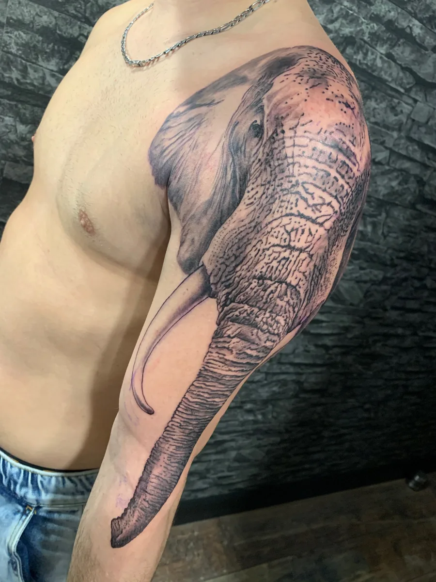 Tatouage éléphant réaliste dans le Var - photo
