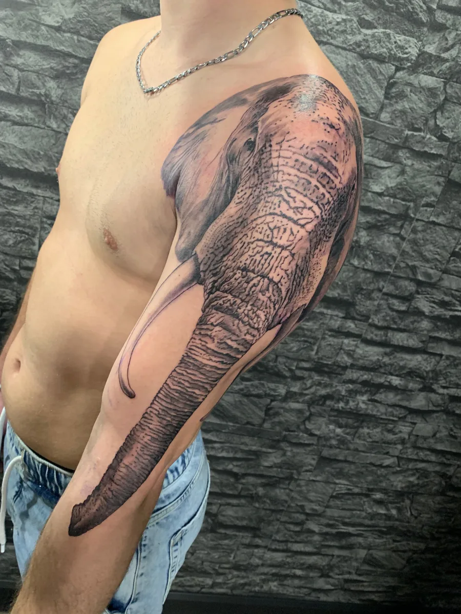 Tatouage éléphant réaliste dans le Var - photo 2
