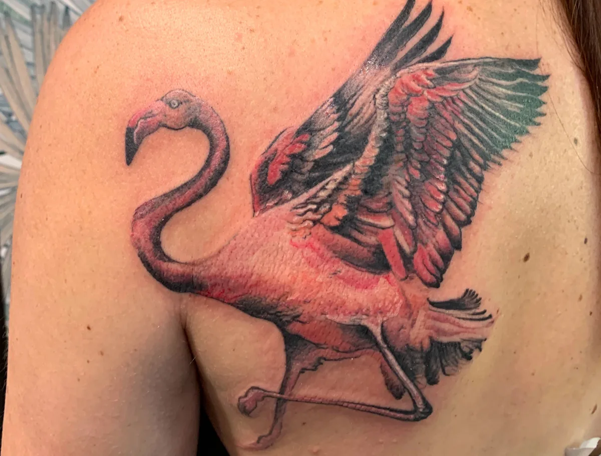 Tatouage Flamant Rose — Une création sur mesure signée Jull's