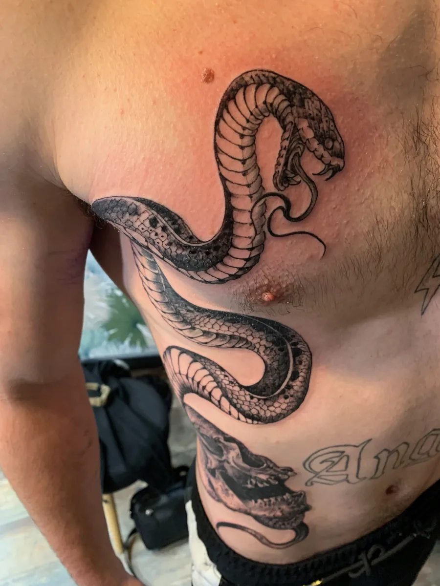 Tatouage Serpent et Crâne — Une œuvre sur mesure dans le Var - photo