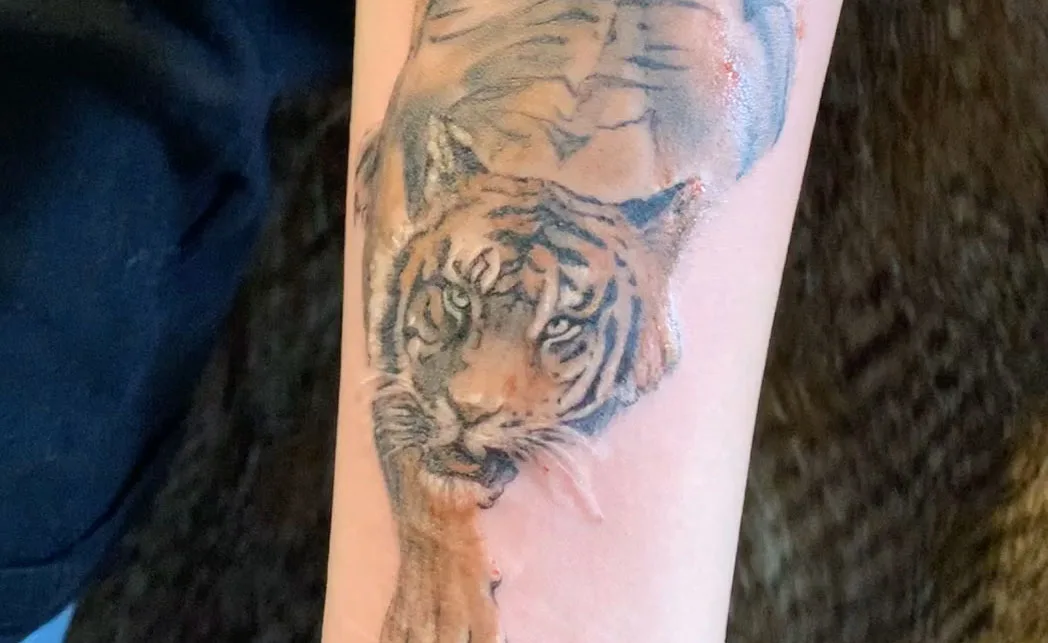 Tatouage Tigre — Une puissance gravée dans la peau