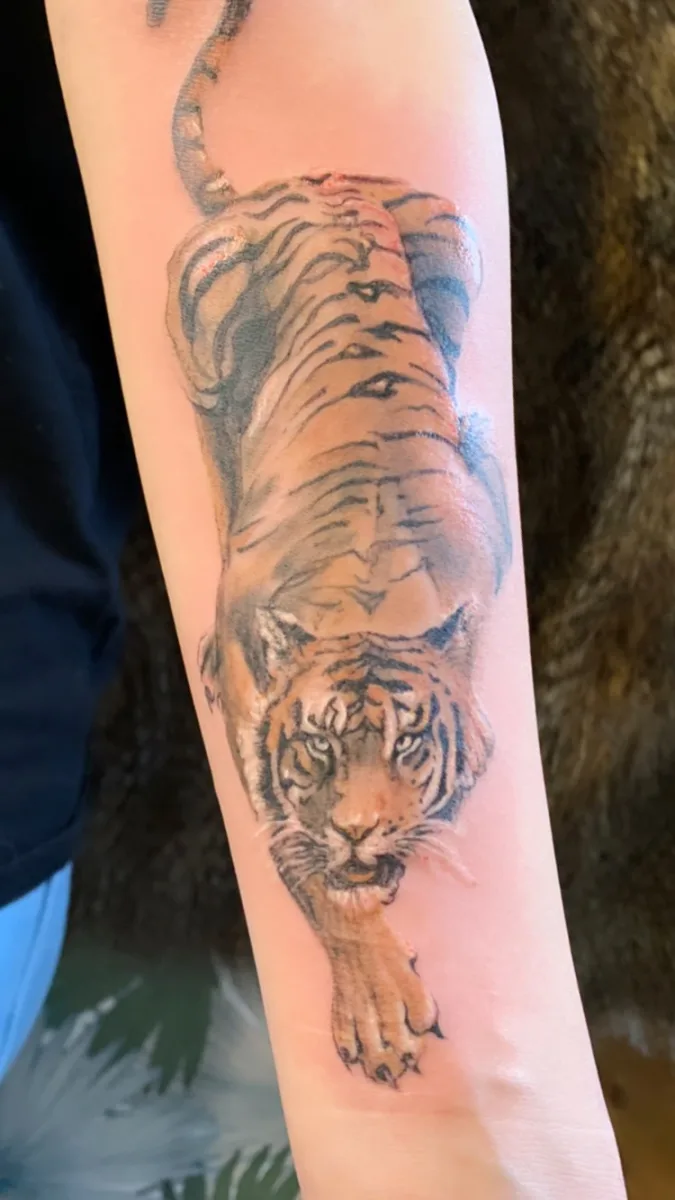 Tatouage Tigre — Une puissance gravée dans la peau - photo