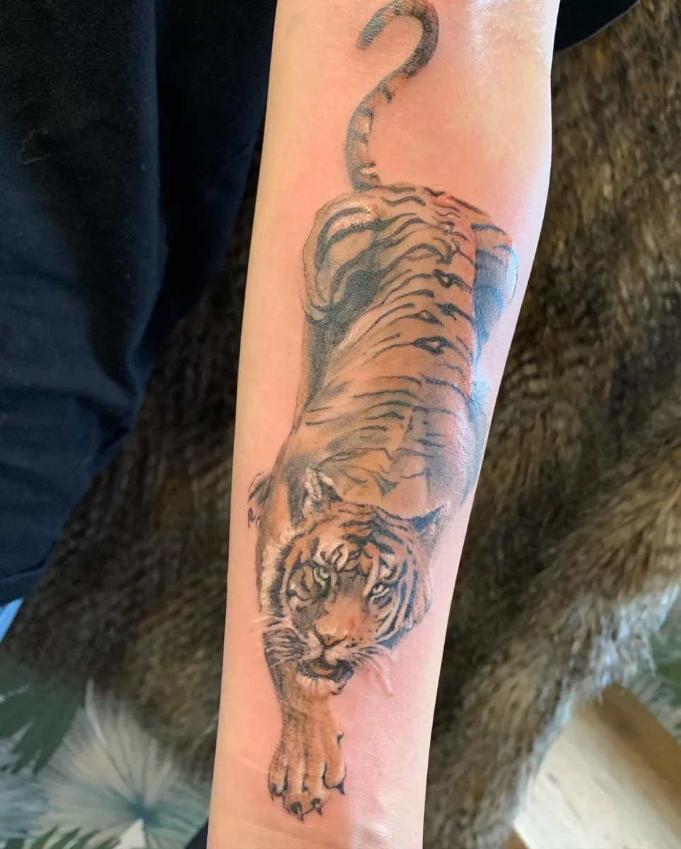 Tatouage Tigre — Une puissance gravée dans la peau - photo 2